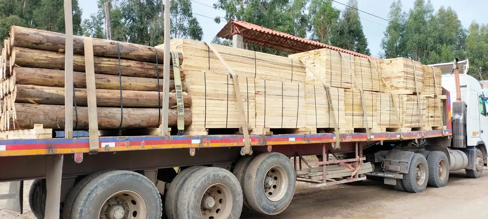 Extracción Responsable