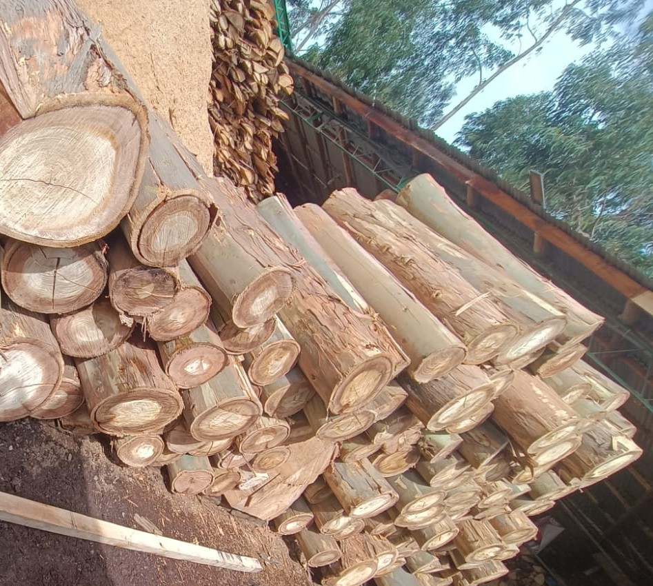 Extracción Sostenible